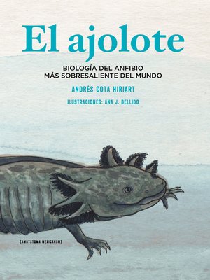 cover image of El ajolote